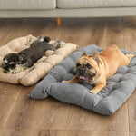 Versatile 3-in-1 Pet Bed – Sofa, Mat, or Snuggle Cave