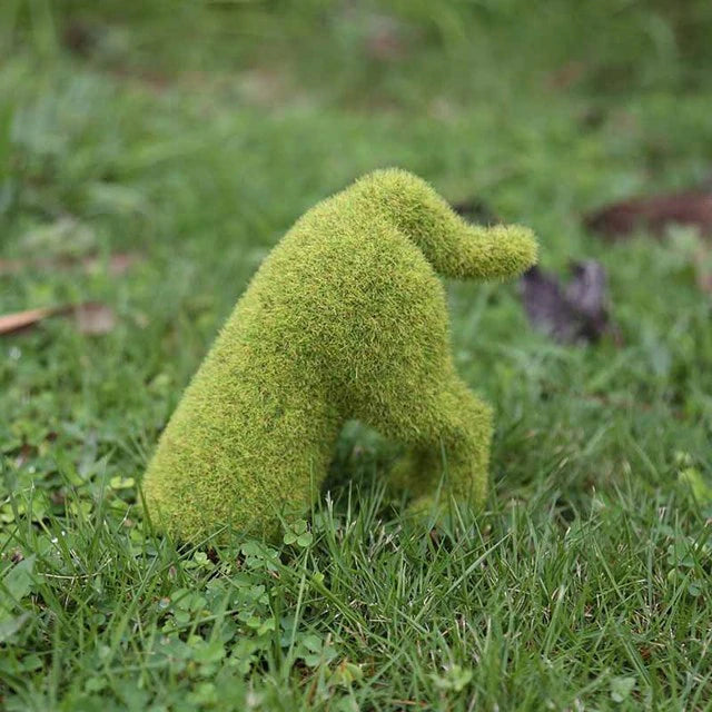 Lebendige Gartenverzierung – Verwandeln Sie Ihren Außenbereich!