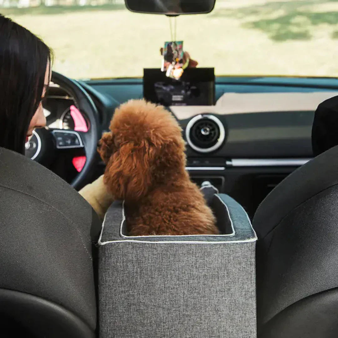 Sicherer Autositz für kleine Hunde – Gepolstert und stabil bis 11 kg