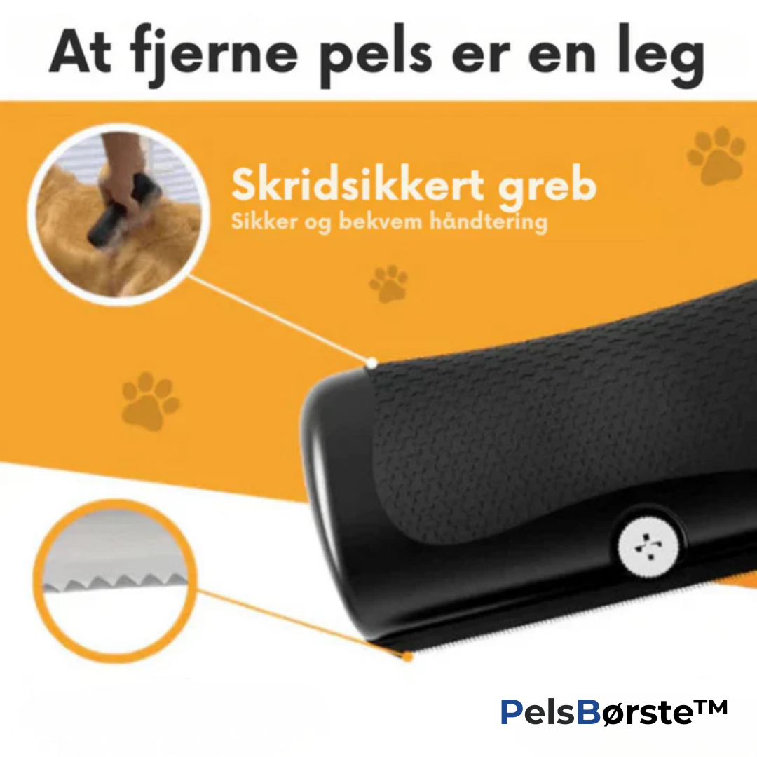 Haarschutz Pro - Für ein sauberes Zuhause ohne Hundehaare