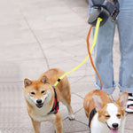 Double, Extendable Dog Leash with LED Lamp – Walking Two Dogs