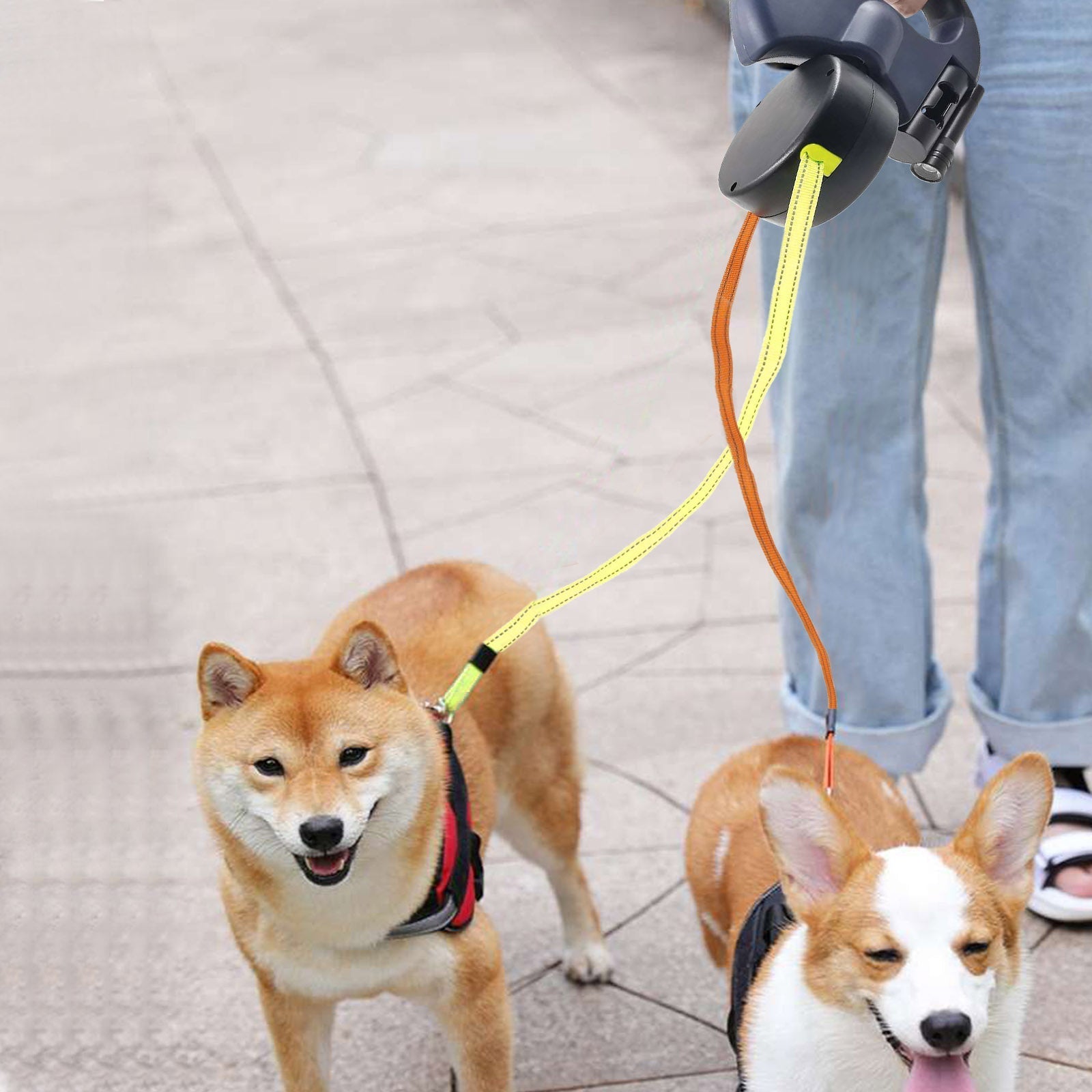 Double, Extendable Dog Leash with LED Lamp – Walking Two Dogs