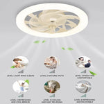 Modern Ceiling Fan with LED Lighting