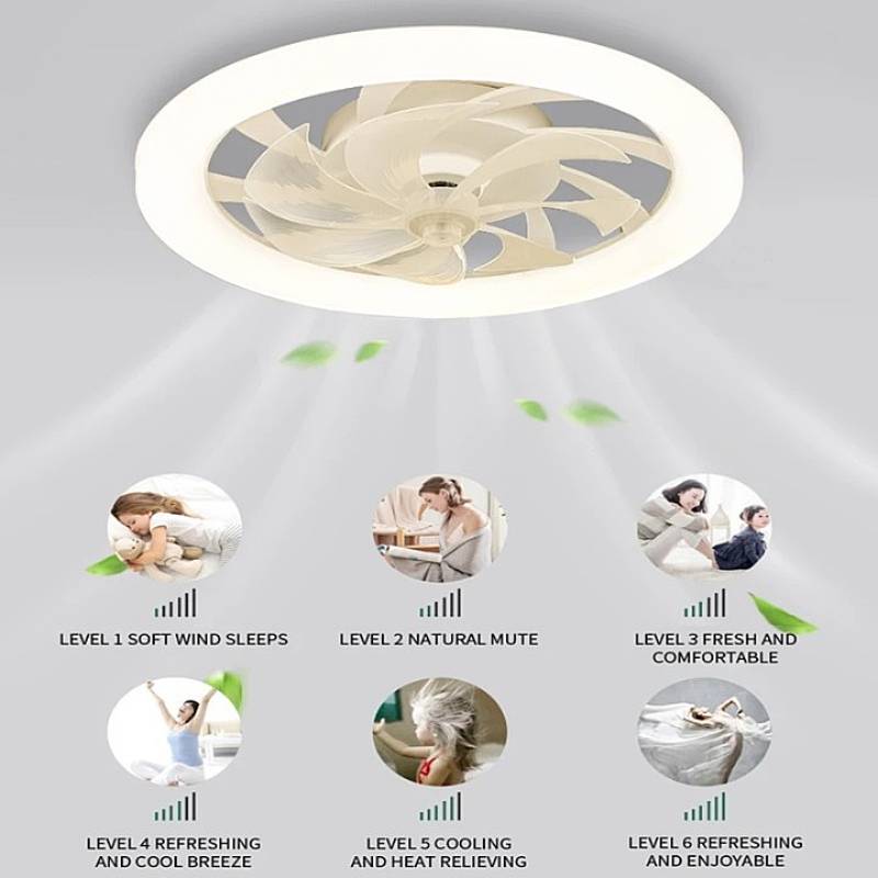 Modern Ceiling Fan with LED Lighting