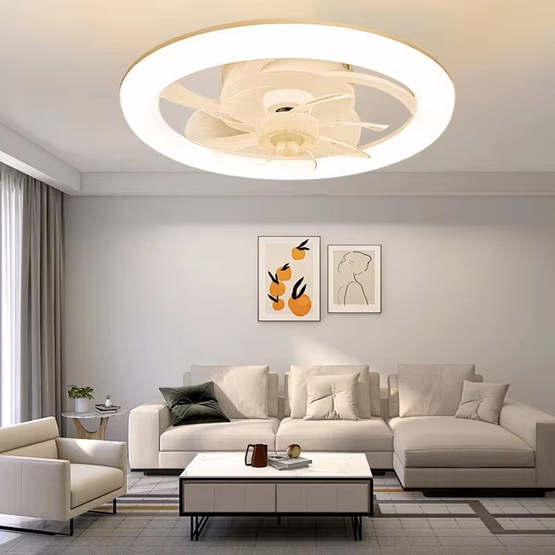Modern Ceiling Fan with LED Lighting