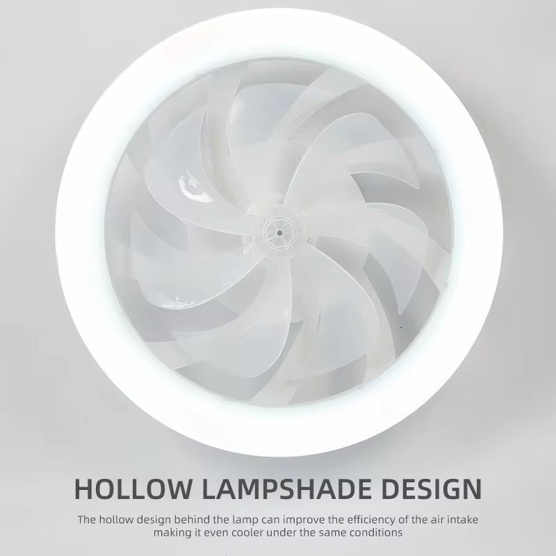 Modern Ceiling Fan with LED Lighting