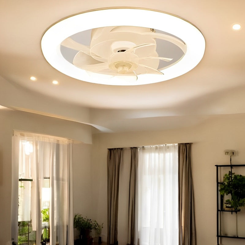 Modern Ceiling Fan with LED Lighting
