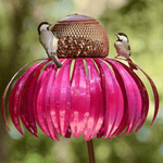 Bird Paradise in the Garden | NaturNest - Elegant Bird Feeder