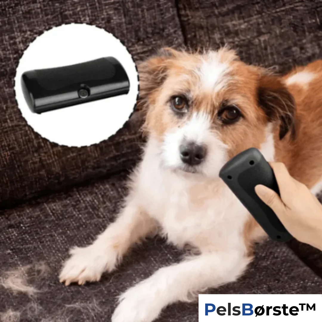 Haarschutz Pro - Für ein sauberes Zuhause ohne Hundehaare