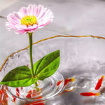 BlütenEleganz – Perfekte Präsentation für Ihre Blumen