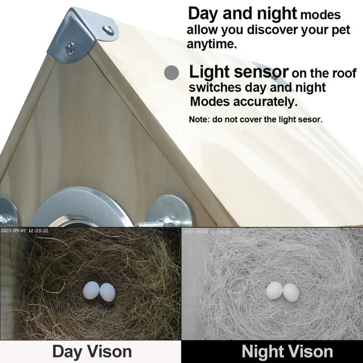 Birdwatching Nest Feeder for Nests