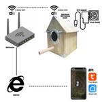 Birdwatching Nest Feeder for Nests