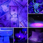 LumiGuard | UV Flashlight for Bed Bug and Stain Detection