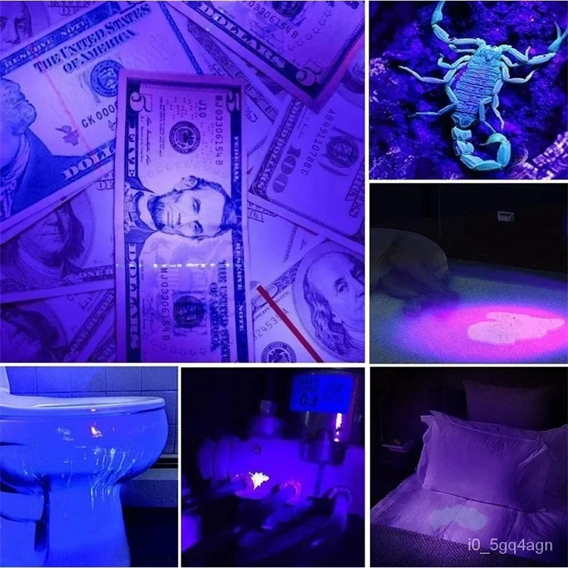 LumiGuard | UV Flashlight for Bed Bug and Stain Detection