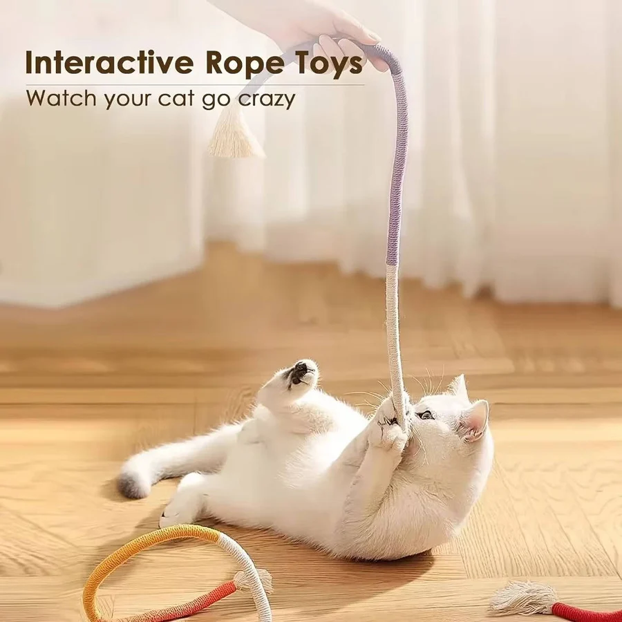 Cat Toys for Playful Kittens - Healthy Chewing