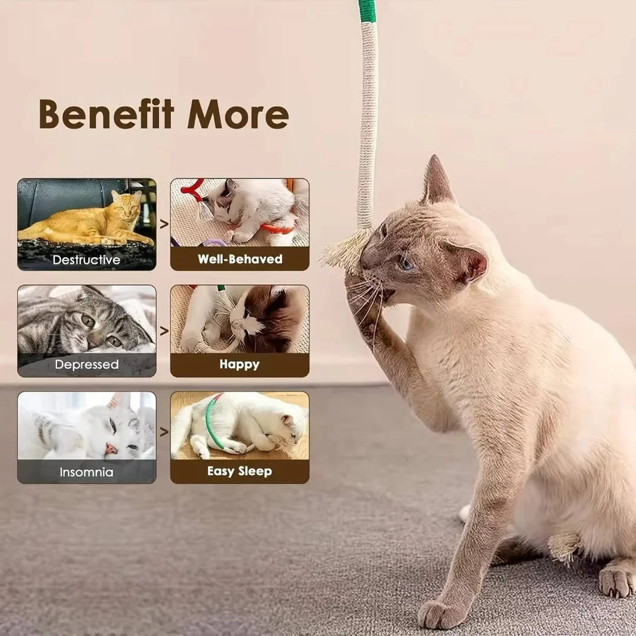 Katzenspielzeuge für verspielte Kätzchen