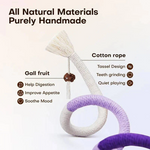 Cat Toys for Playful Kittens - Healthy Chewing