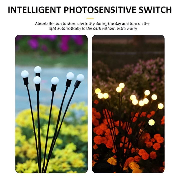 Magische Solar-Lichter für Ihren Garten