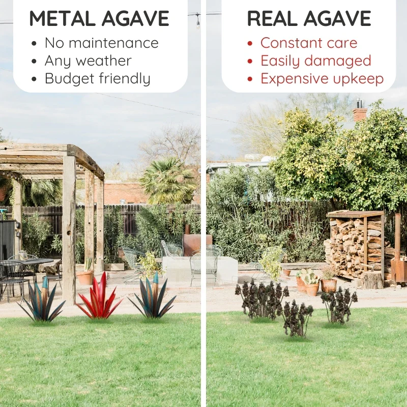 Metallische Agave - Dekorative Pflanze für drinnen und draußen