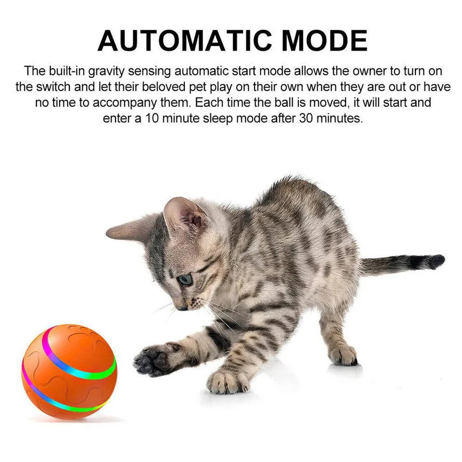 Interaktives Spielzeug für Hunde und Katzen – Bewegungsfreude Pur
