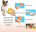 Interaktives Spielzeug für Hunde und Katzen – Bewegungsfreude Pur