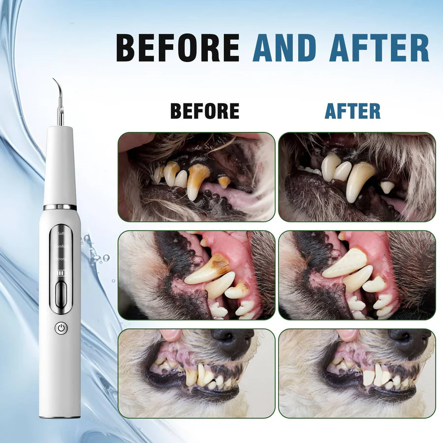 Dental Care Device for Dogs – Gentle Plaque Removal at Home