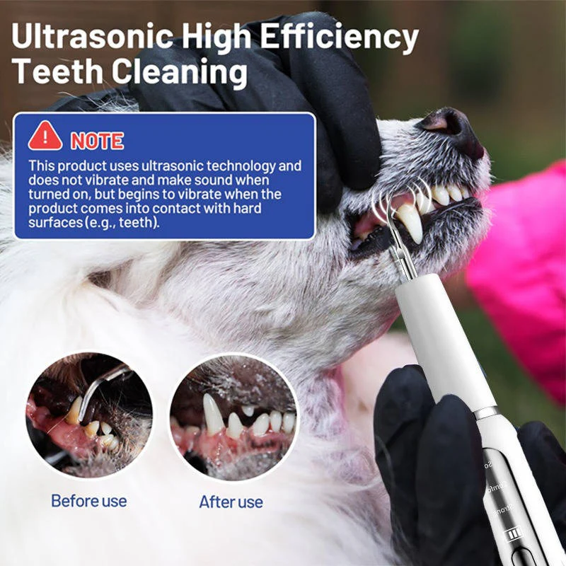 Dental Care Device for Dogs – Gentle Plaque Removal at Home