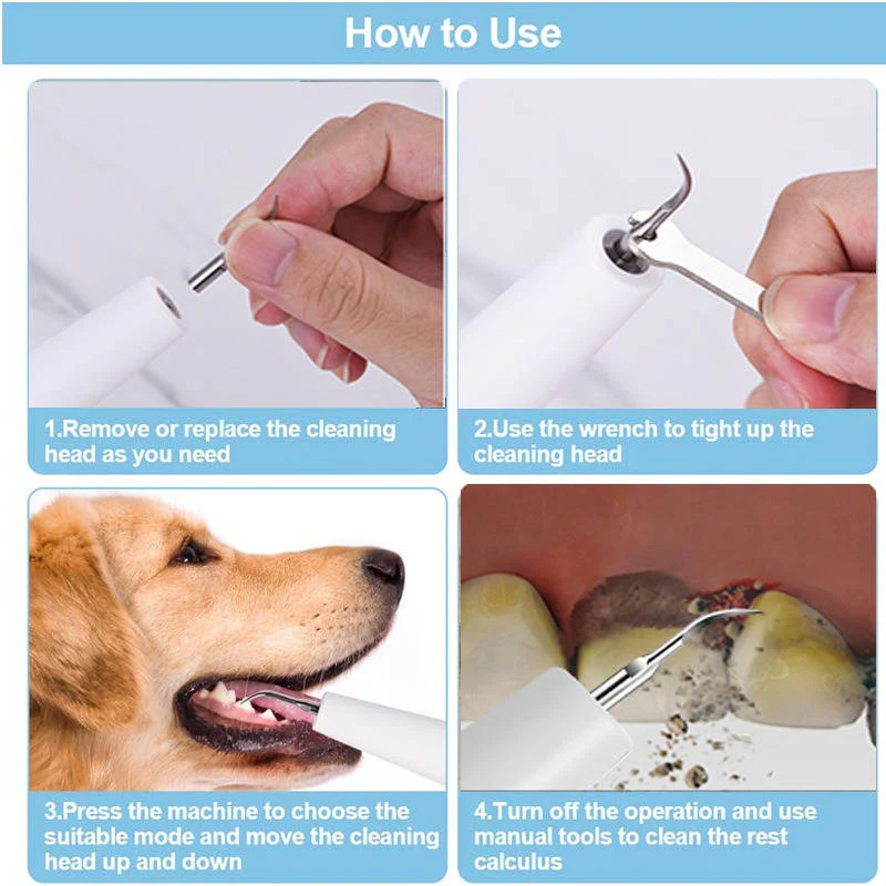 Dental Care Device for Dogs – Gentle Plaque Removal at Home