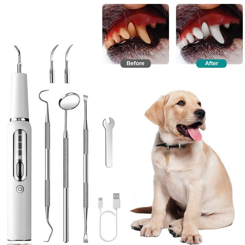 Dental Care Device for Dogs – Gentle Plaque Removal at Home