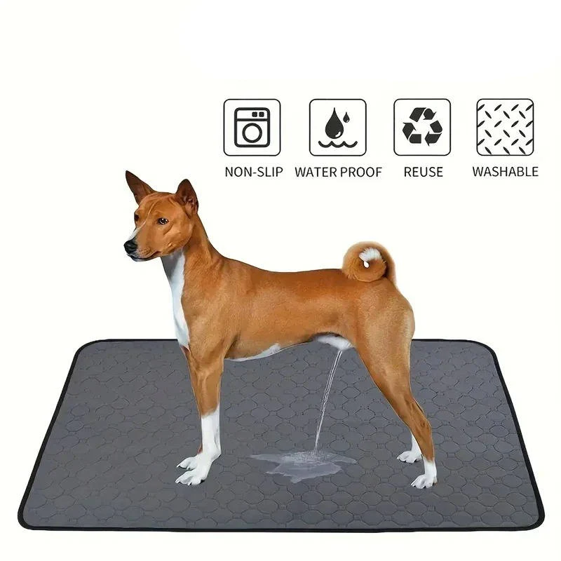 Hundeunterlagen für das Training – Einmal- und Mehrwegoptionen