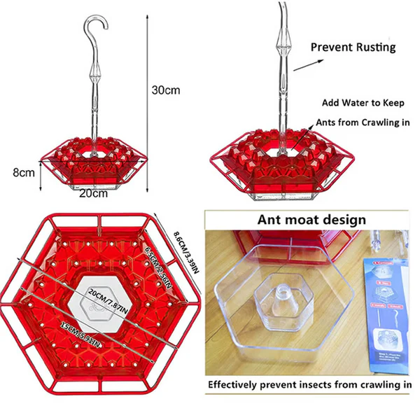 Hummingbird feeder with built-in ant moat