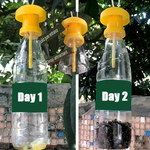 Fruit fly trap with hanging protective lid