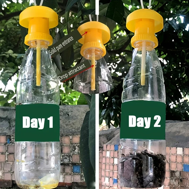 Fruit fly trap with hanging protective lid