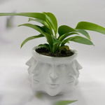 Modern Pot with Face Design – Voltyx
