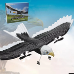 Remote control for the eagle-bird