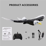 Remote control for the eagle-bird