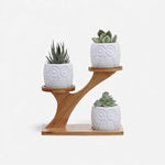 Three-Tier Bamboo Plant Stand – Tree-Shaped Display for Indoor Plants