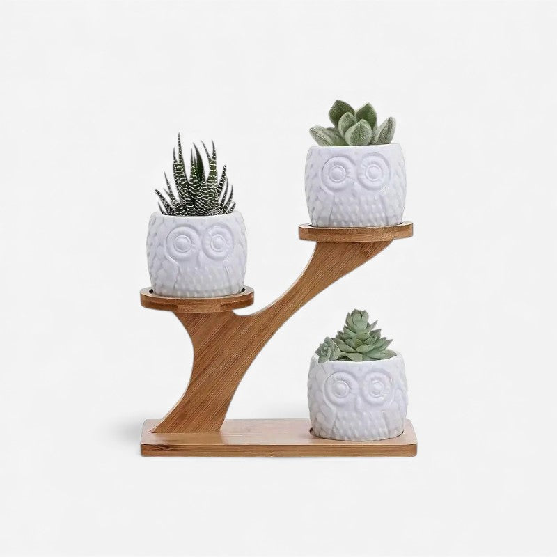 Three-Tier Bamboo Plant Stand – Tree-Shaped Display for Indoor Plants