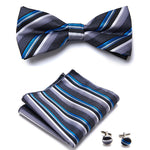 Elegantes Set mit stilvollen Fliegen und Accessoires