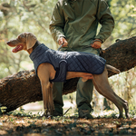 Hunde-Wintermantel – Für warme und sichere Spaziergänge