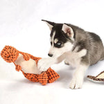 Robust Dog Toy – Durable Chew Toy for Dogs
