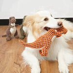 Robust Dog Toy – Durable Chew Toy for Dogs