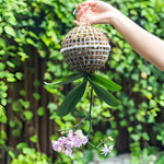 MoosHarmonie Hängende Pflanzkugel | Kunststoff mit Ablauflöchern | Ideal für Orchideen und Farne | Innen- und Außenbereich