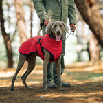 Hunde-Wintermantel – Für warme und sichere Spaziergänge