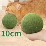 Katzenminzbällchen für spielerische Zahnpflege