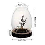 Elegant Set of 2 Glass Candle Holders with Wooden Base – Retro-Zen Flair for Your Home