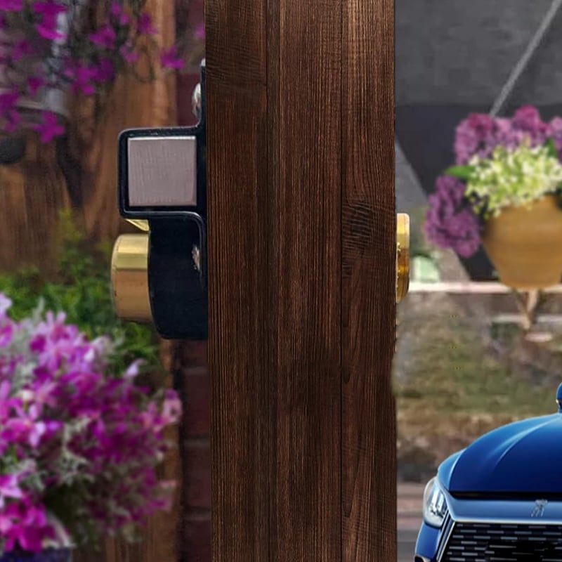 Security Latch - Robust Protection for Gates and Pets
