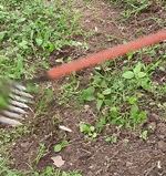 Effizienter Stahl-Unkrautstecher für Ihren Garten