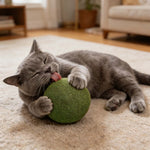 Katzenminzbällchen für spielerische Zahnpflege