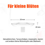 BlütenEleganz – Perfekte Präsentation für Ihre Blumen